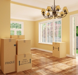 Pittsburgh T&T Furniture Trans