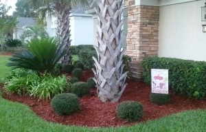 Photo of Island Green Lawn Service