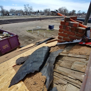 Photo of Brighton Roof & Gutter Maintenance
