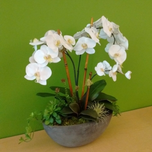 Photo of Green N' Silk