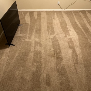 Photo of Amazing Carpet & Upholstery Cleaning