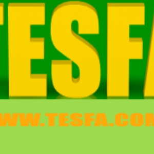 Photo of Tesfa