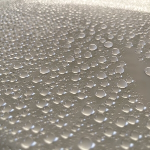 Photo of AW Mobile Auto Detailing, Ceramic Coating & Paint Correction