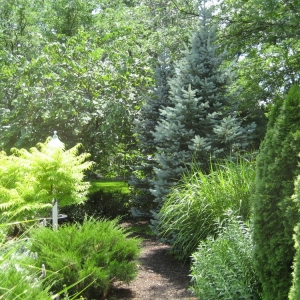 Photo of Creative Outdoor Spaces