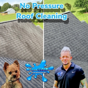 Photo of AquaCLEAN Pressure Washing & SOFTWASH Specialist