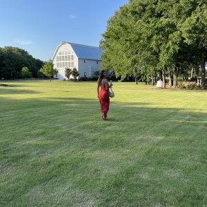 Photo of The White Sparrow Barn