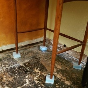 Photo of The Restoration CleanUp Company, Inc.