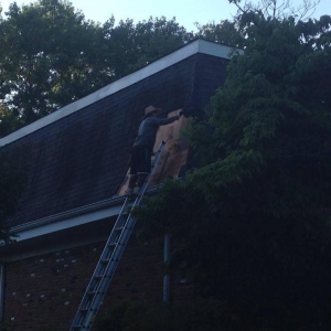 Photo of Mansfield Roofing and Exteriors