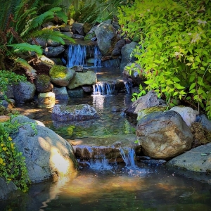 Vancouver Affordable Ponds
