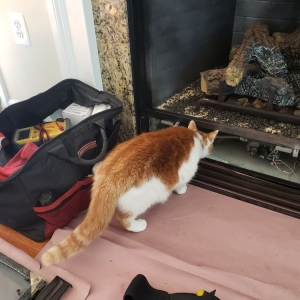 Photo of Fredericksburg Gas Fireplace Doctor
