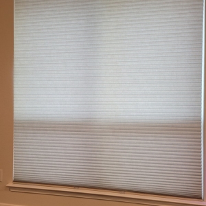 Photo of Affordable Blinds