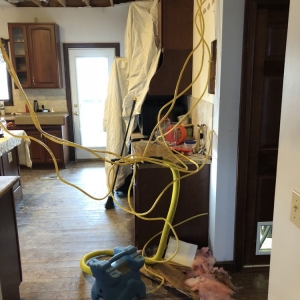 Photo of Clean Slate Restoration