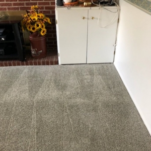 Photo of 5280 Carpet Cleaning & Restoration - Denver Area