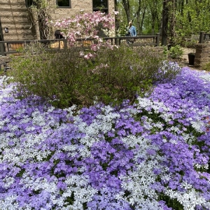Photo of Jenkins Arboretum & Gardens