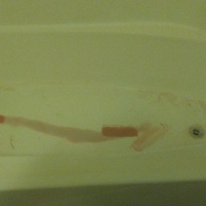 Photo of Bathtub Refinishing & Repair Handyman