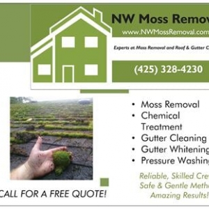 Photo of NW Moss Removal