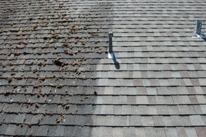 Photo of NW Moss Removal