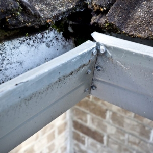 Photo of Pacific Gutter Company