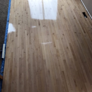 Photo of Boss Wood Renewal