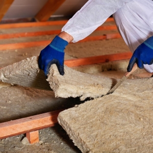 Photo of Attic Health - San Diego