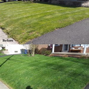 Photo of Trulandscaping