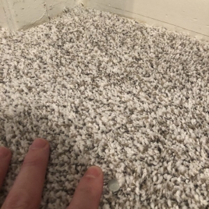 Photo of A+ Floors 4 U