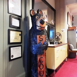 Photo of Scout Properties