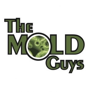 Memphis The Mold Guys