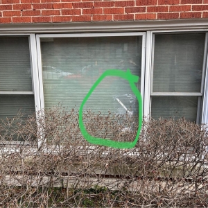 Photo of All American Glass