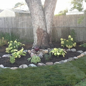 Photo of At Your Service Landscaping
