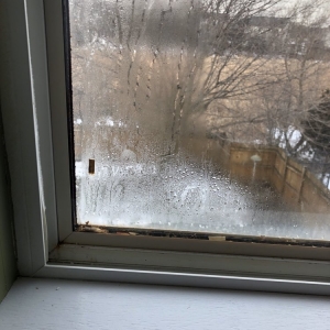 Photo of Inst-I-Glass