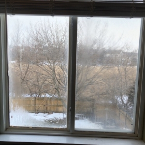 Photo of Inst-I-Glass