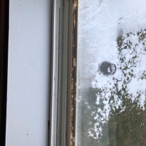 Photo of Inst-I-Glass