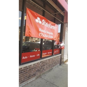 Photo of Violeta Delgado - State Farm Insurance Agent