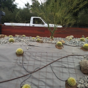 Photo of GreenOasis