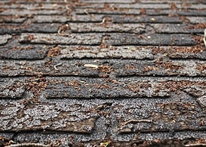 Photo of STA-DRY Roofing