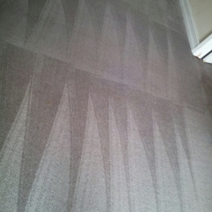 Photo of HD Carpet Cleaning and Maintenance