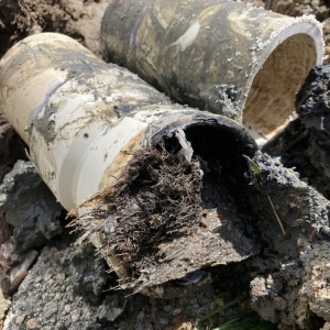 Photo of Baybreeze Plumbing & Gas