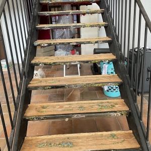 Photo of 1st Class Flooring