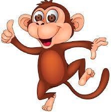 Photo of Grass Monkey Services