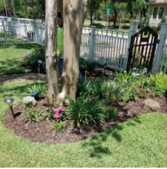 Photo of Grass Monkey Services