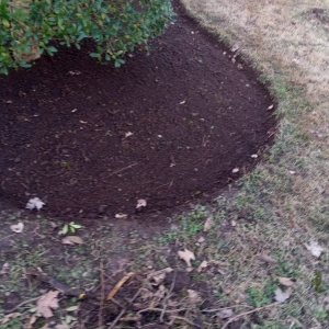 Photo of Outdoor Concepts by High