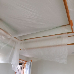 Photo of Dove Ceilings Inland