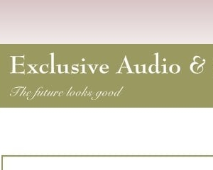 Chicago Exclusive Audio & Security
