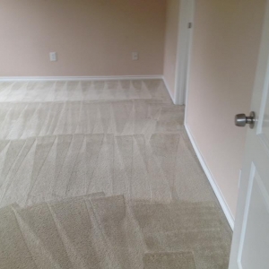 Photo of Empire Cleaning Services