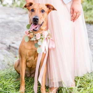 Photo of Kate & Co Events