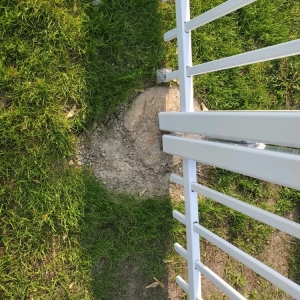 Photo of Town & Country Fence