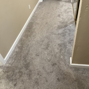 Photo of Superior Flooring and Upholstery Cleaning