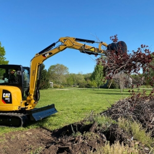 Photo of Rick's Forestry Mulching & Land Clearing