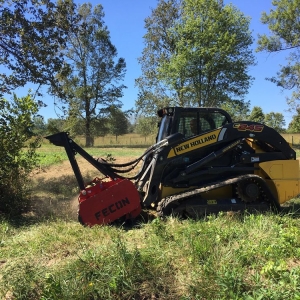 Photo of Rick's Forestry Mulching & Land Clearing